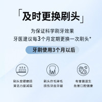 飞利浦(PHILIPS)电动牙刷头 柔和亮白型适配HX2431HX2461HX2471护龈刷头HX2031/02-1支装