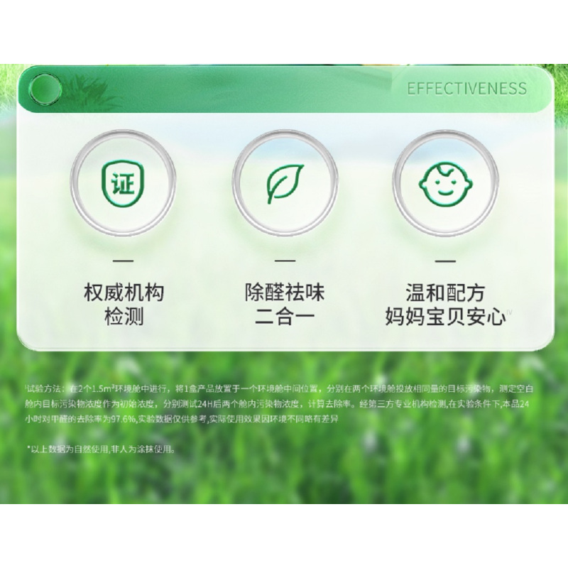 希望树除甲醛专业清除剂 GD2-YS 200g/罐 2罐