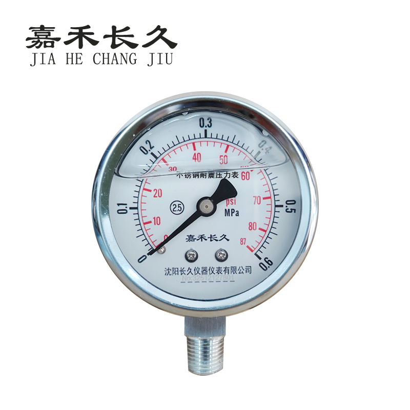 嘉禾长久 不锈钢耐震压力表检测型 YN60BF 块高清大图