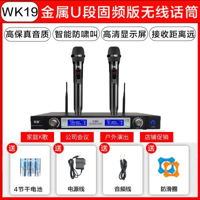 索爱(soaiy) SA-WK19 无线麦克风双话筒专业手持KTV唱歌演出舞台K歌会议通用家庭麦克风 一拖二