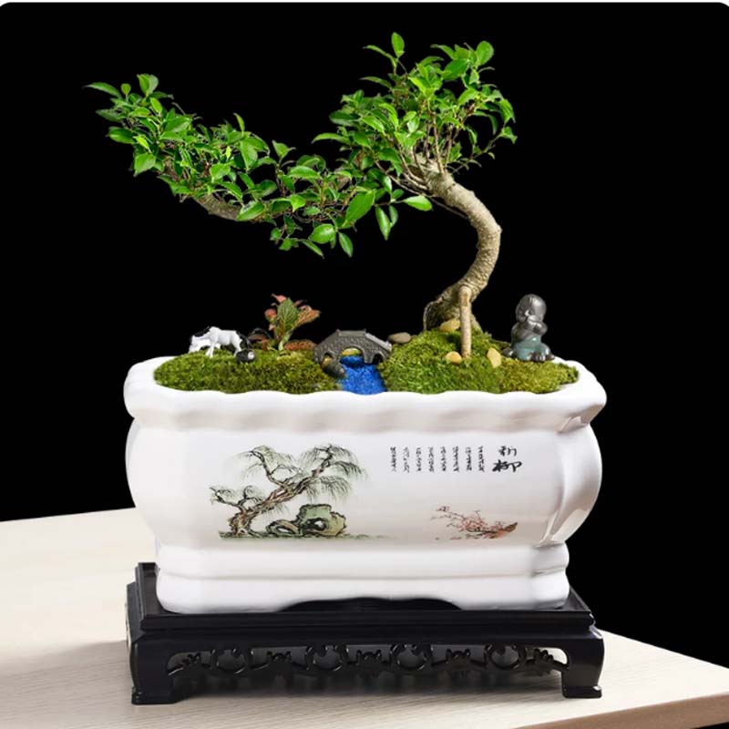 陶瓷花盆 长方形陶瓷花盆,大号,长28cm宽18cm,高16.5cm高清大图