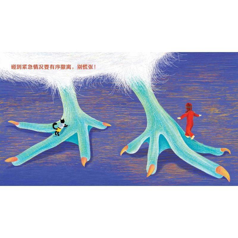 梦乡鸟之旅 (法)伊莎贝尔·辛姆莱尔(Isabelle Simler) 著绘;赵佼佼 译 少儿 文轩网