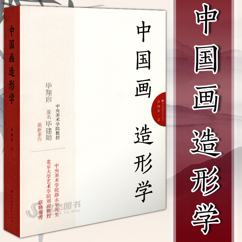 [正版] 中国画造形学 毕翔扉 著 艺术理论中国古代画论以及传统经典文献书籍 江苏美术高清大图
