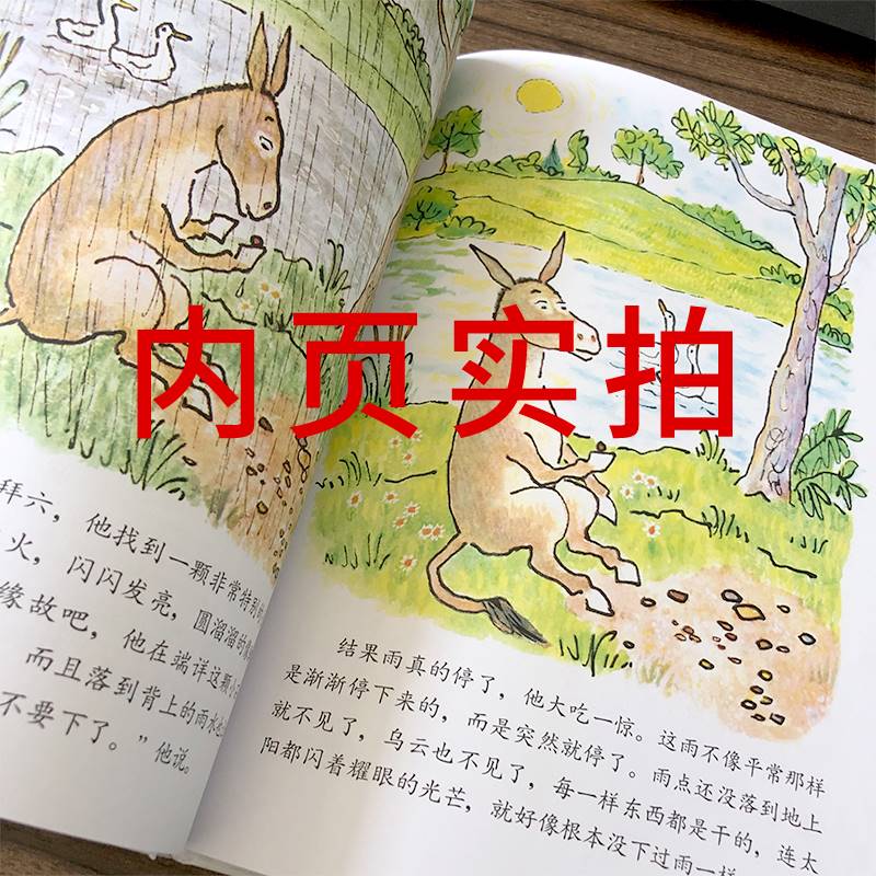 驴小弟变石头 [正版]驴小弟变石头 绘本一年级二年级三年级课外书明天出版社小学生图画书 启蒙入园准备幼儿启蒙早教硬壳硬皮高清大图