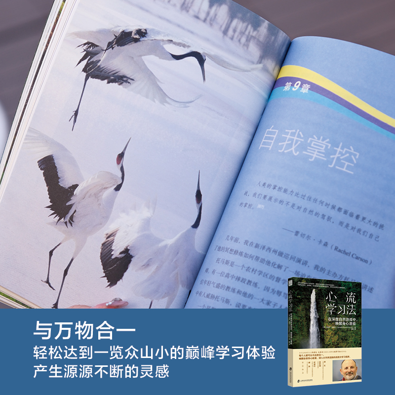 [正版]心流学习法: 在深度自然游戏中,唤醒身心潜能 (自然教育之父约瑟夫里程碑力作!与自然合一,唤醒全部身心能量,高清大图