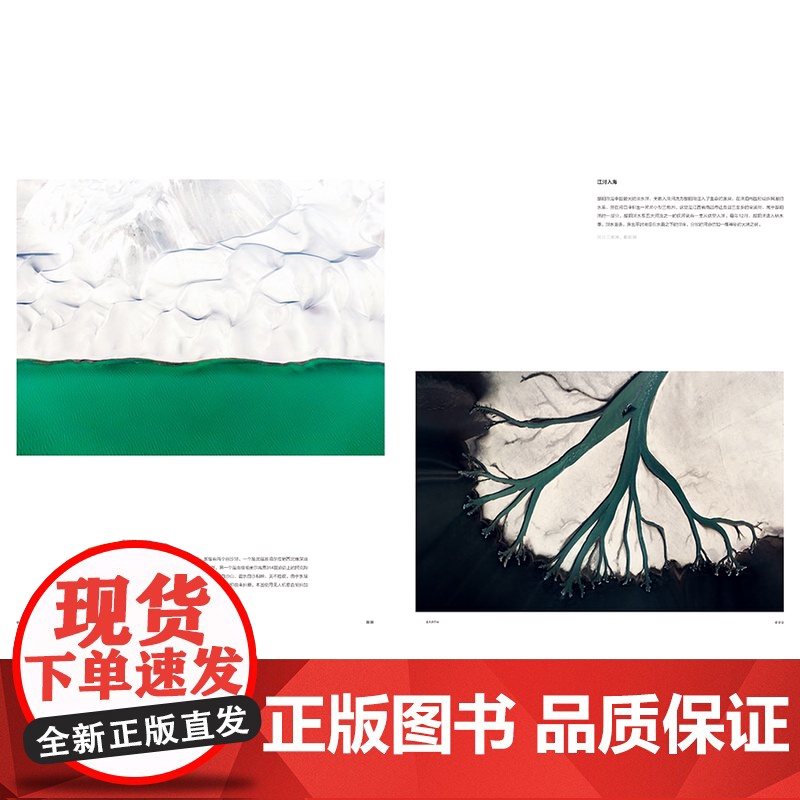 生而为野中国野生生物摄影年赛摄影作品精选 野生动物摄影集 中国国家地理图书高清大图