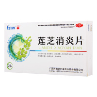 龙城莲芝消炎片12片*2板清热解毒凉血消肿肺胃有热火毒内盛