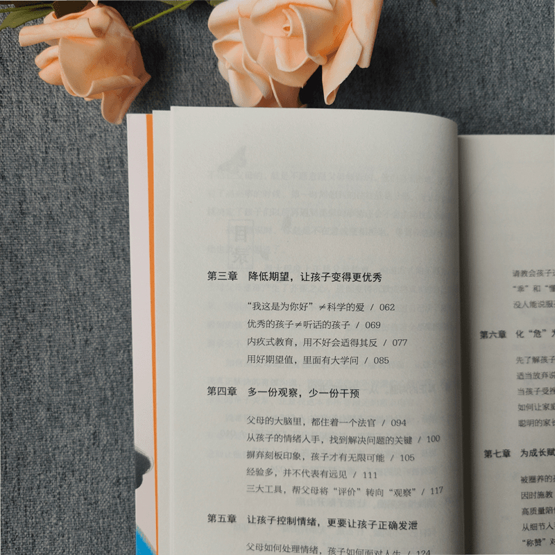 [正版]读懂孩子心的沟通术家庭教育手册正能量亲子沟通技巧指南人际关系高情商口才话术训练宝典正面管教青春期孩子父母育儿家高清大图