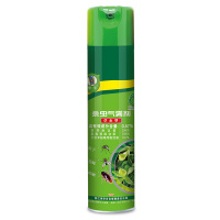 李字杀虫气雾剂600ml(草本型)