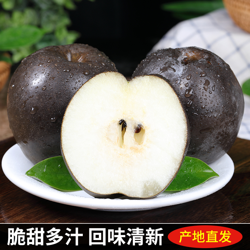 [苏鲜生]高原藏乌梨 净重2.7斤 时令黑梨非东北冻梨现摘大果无添加天然整箱
