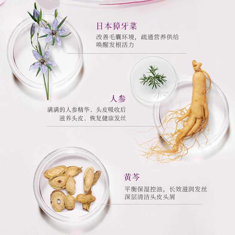 蝶印牌无硅油防脱发育发洗发水 580ml高清大图