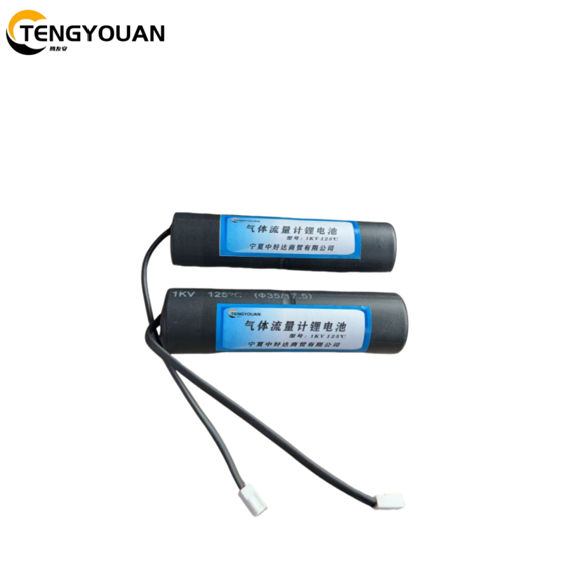 腾友安 气体流量计锂电池 1KV 125℃ 个(1KV)高清大图