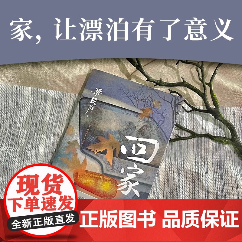 [央视网]回家 第十届茅盾文学奖得主梁晓声著 电视剧人世间 入选小说月报中篇小说选刊中华文学选刊 聚焦大时代中的平凡小人高清大图