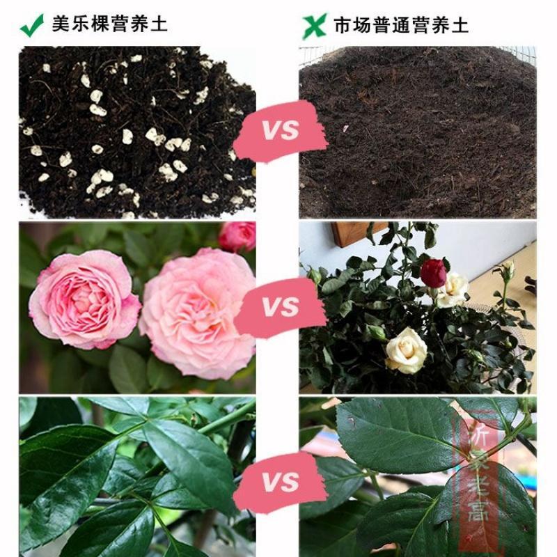 家庭园艺营养土 玫瑰型6L 月季花土玫瑰花种植用营养土
