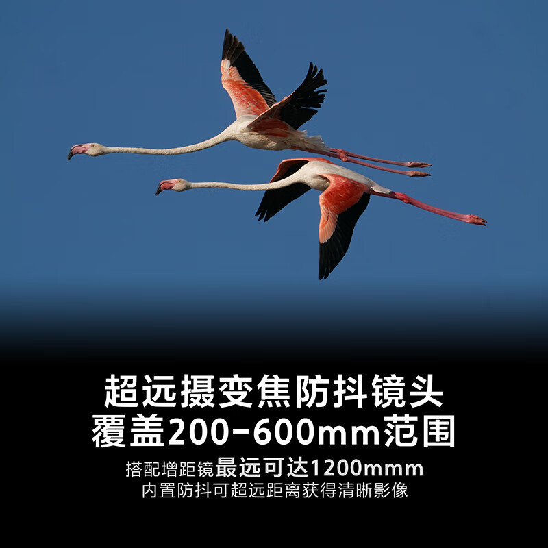 索尼 (SONY)FE 200-600mm F5.6-6.3 G OSS 全画幅超远摄变焦G镜头 SEL200600G高清大图
