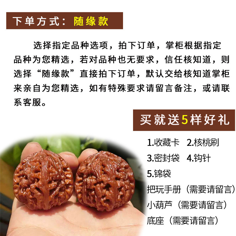 [入门推荐]核知道 文玩盘玩核桃新手初玩四座楼闷尖磨盘狮子头苹果园白狮子满天星虎头核头古玩野生男女