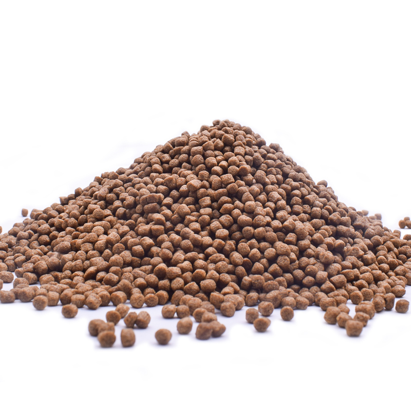 石金钱龟粮龟料饲料石金钱龟饲料水龟料石龟龟粮乌龟饲料喉饲料视频