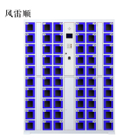 风雷顺智能手机柜存放柜充电柜存包柜储物柜60门充电透明款