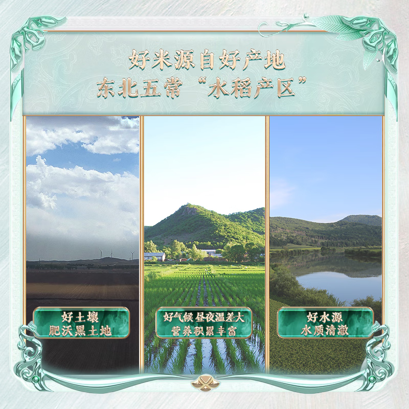十月稻田(SHIYUEDAOTIAN)柴火大院 五常有机大米5kg(东北大米)有机种植 口感筋道 美味可口 米香浓郁高清大图