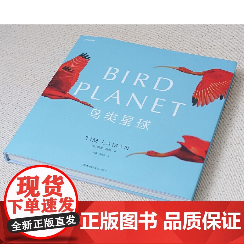 [正版书籍]鸟类星球:摄影之旅自然摄影大师蒂姆·拉曼 近30年重磅作品完整收录 每张画面都是我们更爱这个世界的理由高清大图