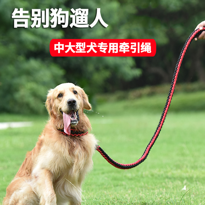 米妮宠物服饰狗狗项圈大型犬拉布拉多金毛宠物颈圈米妮中小型犬泰迪狗项圈脖圈脖套 价格图片品牌报价 苏宁易购万寻宠物用品专营店