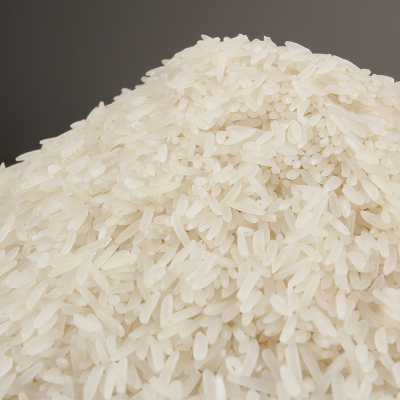水中鲤丝苗米 广东大米 长粒香软南方籼米 绿色食品 水润丝苗米 5kg