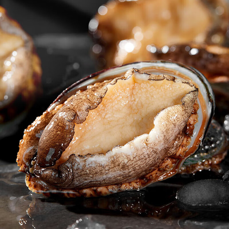 暖心驿站 海颂福海鲜礼盒年货送礼送父母送家人烹饪F款4970g高清大图