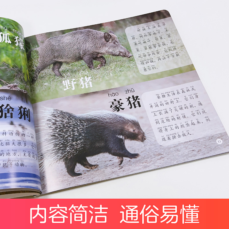 [4册]国家+功能车+标志+汽车 [正版]童眼观世界8册4-8岁儿童看图识物书启蒙益智早教书百科全书大百科全套恐龙百科全高清大图