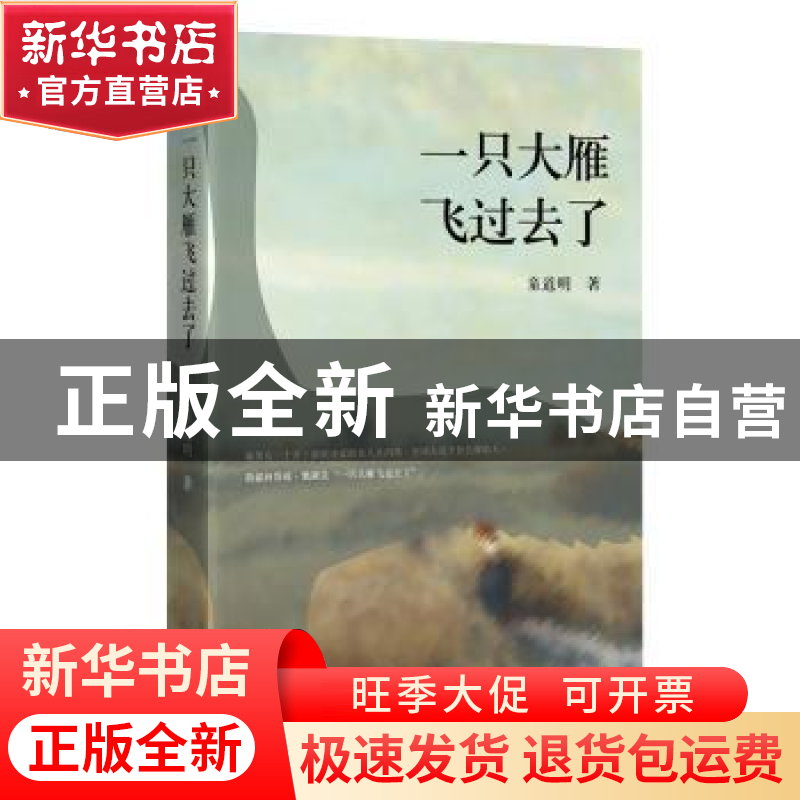 正版 一只大雁飞过去了 童道明著 四川文艺出版社 9787541145018高清大图