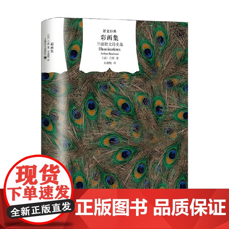 彩画集 兰波散文诗全集 译文经典 兰波 著 诗歌词曲