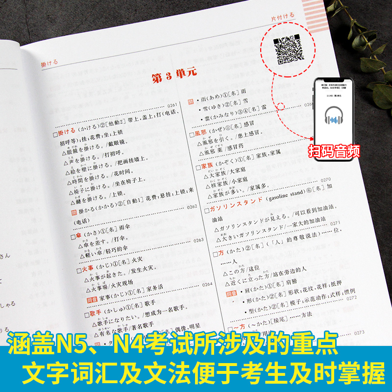 [正版]N5N4红蓝宝书日语能力考试N5N4红宝书词汇+N5N4蓝宝书文法+红蓝宝书1000题详解练习(附音频)全新修高清大图