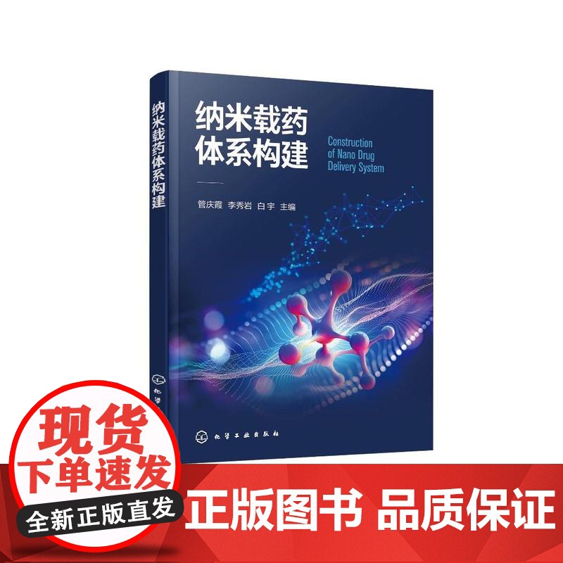 纳米载药体系构建高清大图