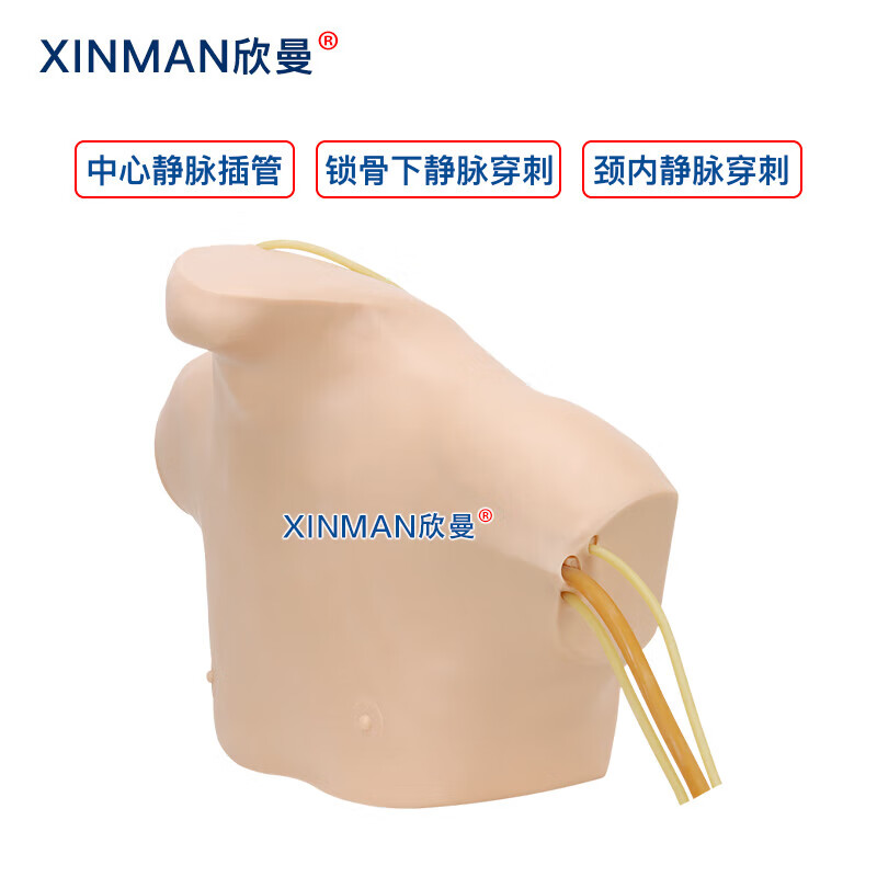欣曼科教 中心静脉穿刺插管模型 中心静脉置管术训练模型XM-LZC02高清大图