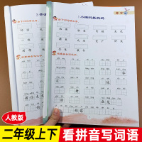 上下册2本 二年级同步专项训练语文看拼音写词语生字注音拼音练习册全套 小学2年级同步训练部编版练字本一课一练默写能手上册
