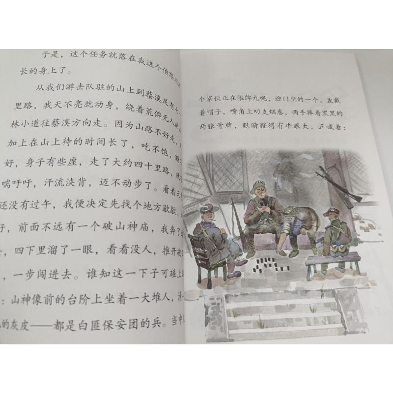 醉染图书小游击队员9787531356271高清大图
