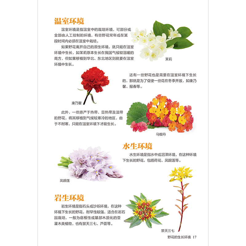 醉染图书野花图鉴 全新图解版9787553757537高清大图