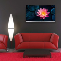 海信（Hisense）HZ55E6AC 55英寸4K曲面 超薄全面屏 人工智能电视