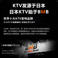 日本BMB 2000家庭ktv音响套装影院全套家用卡拉OK功放音箱组合专业会议室舞台酒吧大功率k歌设备