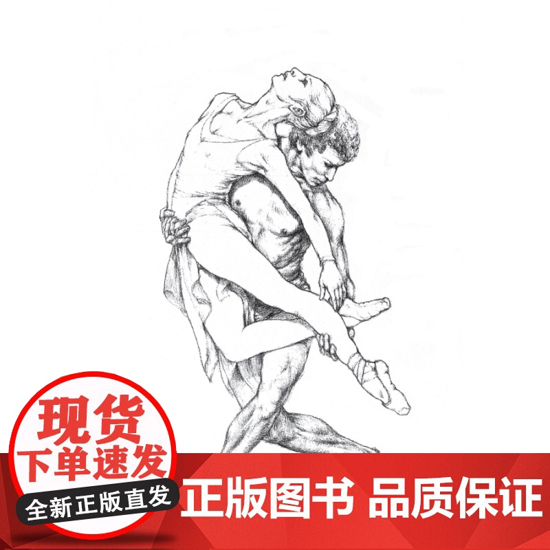 艺用人体运动解剖 西方经典美术技法译丛 路易丝戈登 人体素描 素描 绘画 图解解剖学 上海人民美术出版社高清大图