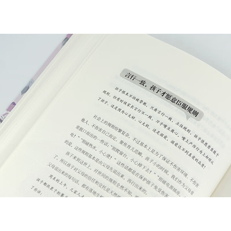 接纳力成就孩子一生幸福的妈妈情商课正面管教好妈妈胜过好 子沟通儿童心理学育儿书家庭教育书籍父母读的高清大图