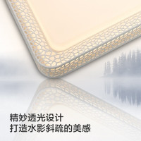 飞利浦 PHILIPS 吸顶灯客厅卧室吸顶灯书房现代简约无极调光调色水城