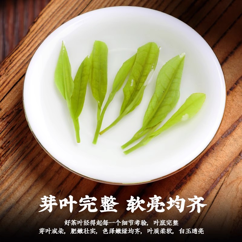 正宗白茶安吉高山特级2026年新茶礼盒装珍稀口粮绿茶明前散装茶叶高清大图