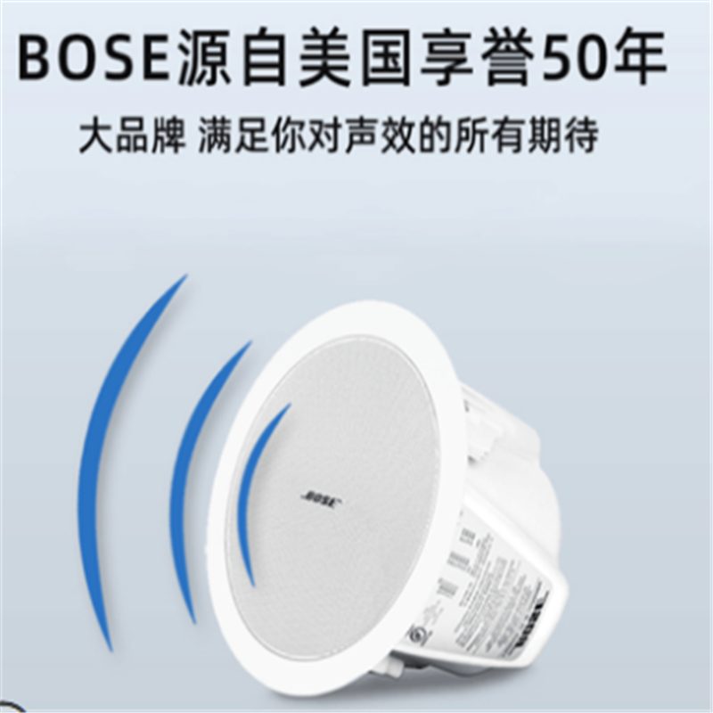 BOSE DS100F 吸顶音箱