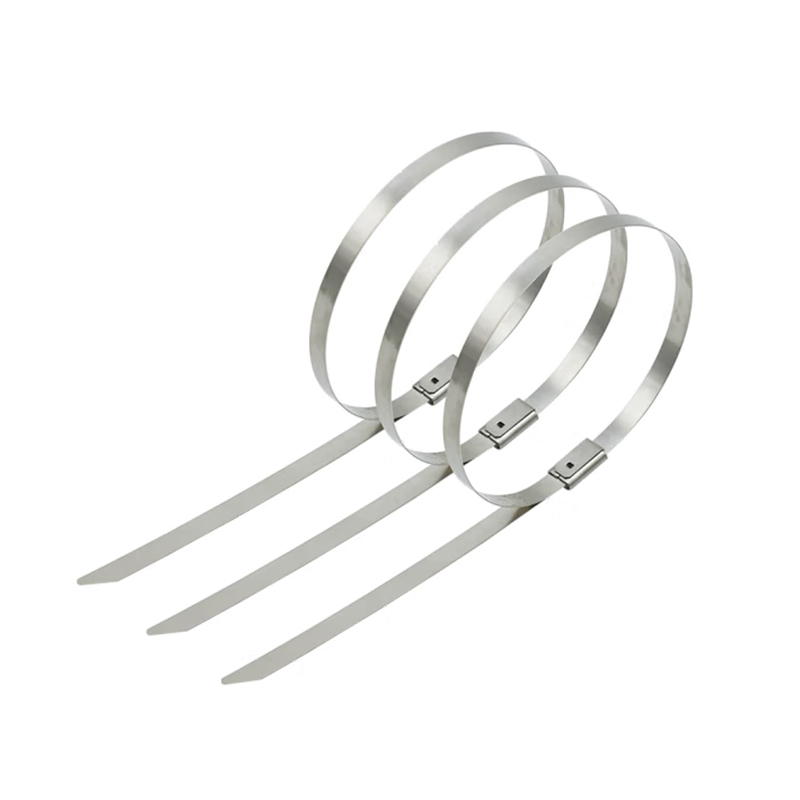 铁耀 不锈钢扎带 4.6*850mm 根高清大图