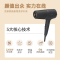 飞利浦(PHILIPS)电吹风机 大功率家用恒温电吹风 负离子护发吹风筒 高速吹风护发系列可折叠手柄 BHD538/25