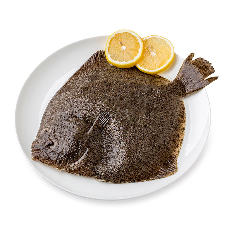 冰鲜多宝鱼700g900g1条海鲜水产