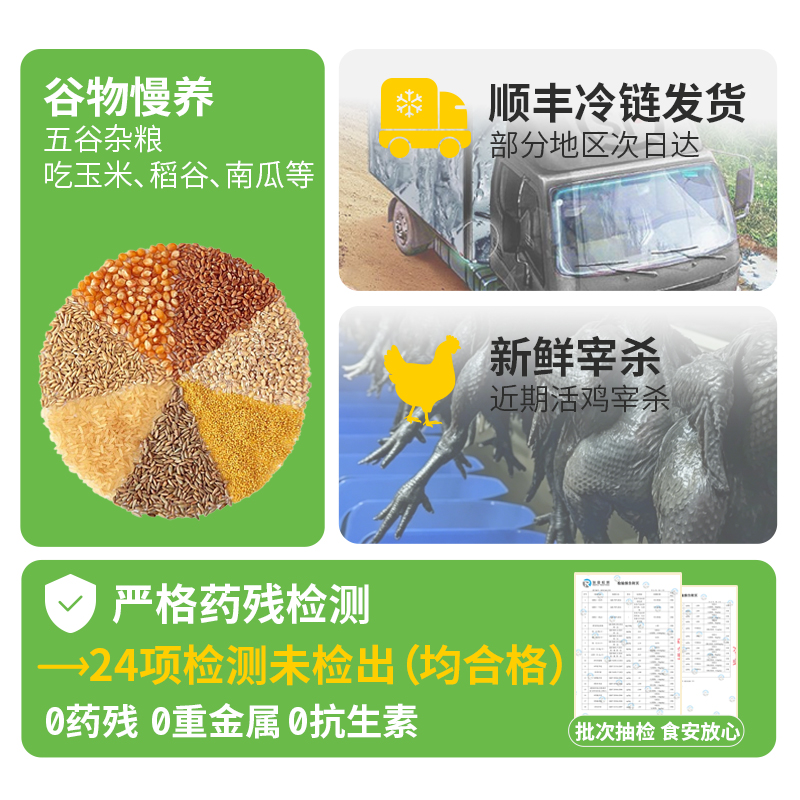 雀淘 白羽乌鸡800g/只 1只装新鲜现杀冷冻肉质鲜美农家慢养整只顺丰发货高清大图