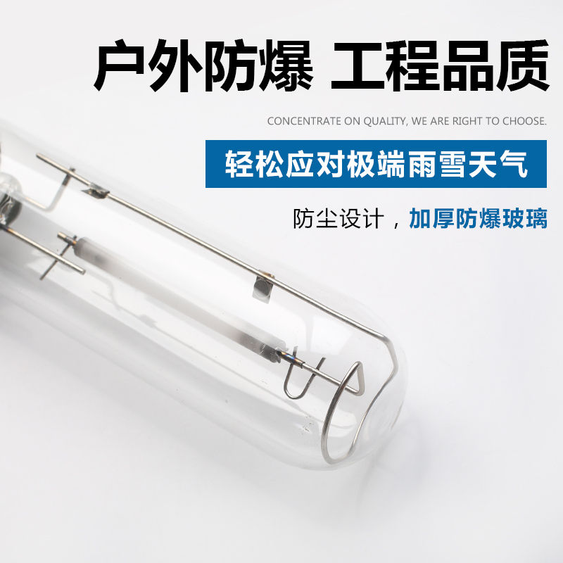 飞利浦 E40/400W 高压钠灯(支)