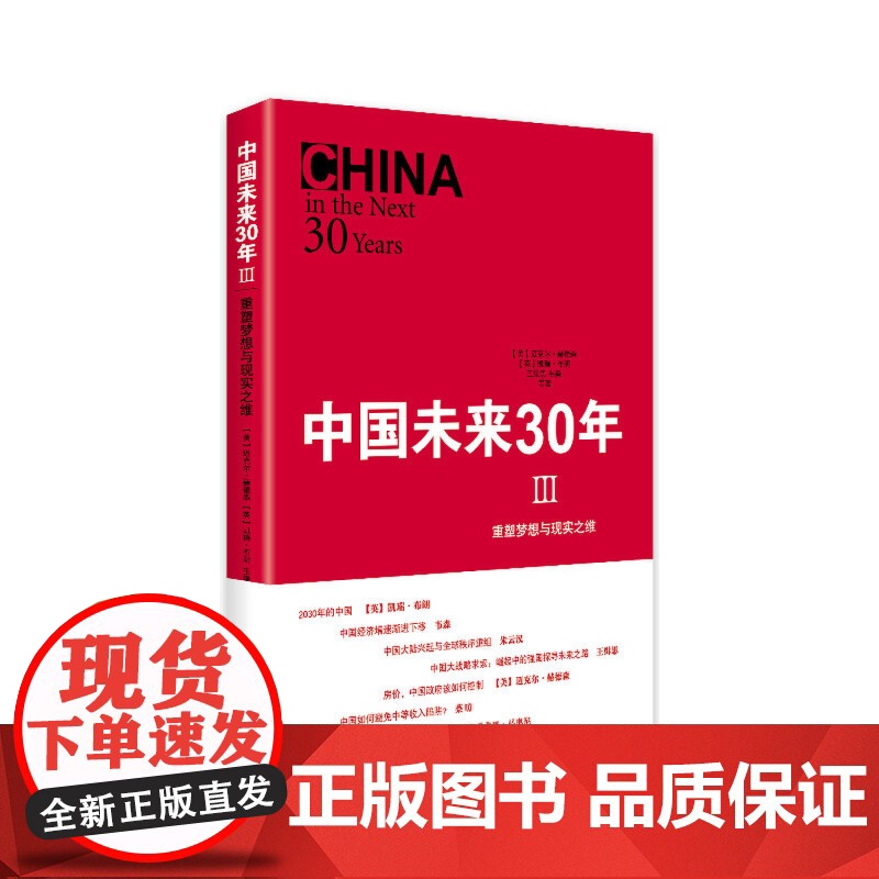 中国未来30年Ⅲ——重塑梦想与现实之维高清大图