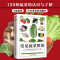 [正版]常见蔬菜图鉴五谷杂粮营养介绍饮食功效解读 食材选购指南美食烹饪菜谱 食物营养搭配饮食宜忌大全书饮食功效解读食材选